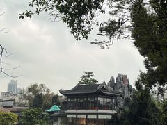 -荔湾湖公园