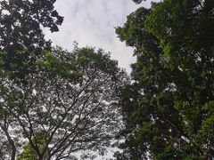 -晓港公园