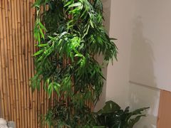 -锦初·禅意4K影院式足道·新中式SPA(茂业天地店)