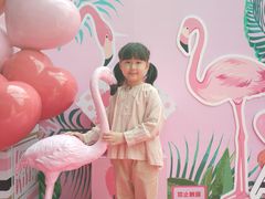 -合肥融创水世界