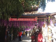 -呀路古热带植物园