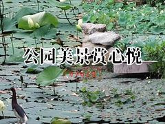 -四海公园(南山区)