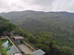 -三亚亚龙湾人间天堂鸟巢度假村