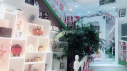 -艺米阳光Hair Salon