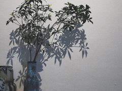 -禾气食店