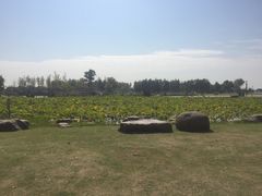 -滆湖低碳生态公园