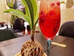 -PlantsEatery·植物食堂(REX春熙店)