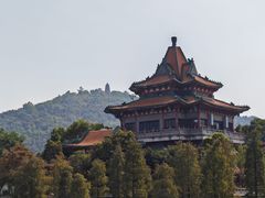 -顺峰山公园