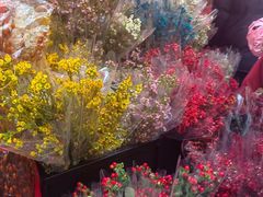 -越秀西湖花市(广州城市广场花卉店)