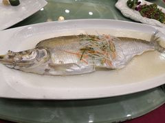 -中国饭店-餐厅