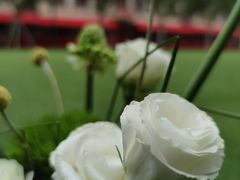 -花邻FloweringLife花艺气球派对(武康大楼店)