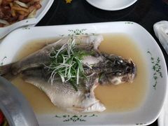 -云中小雅