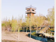 -东郊湿地公园