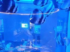 -上和臻品中国菜(花园街店)