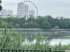 -南宁南湖公园