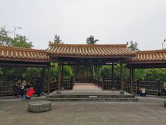 -铁山坪森林公园