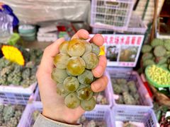 -大观篆新农贸市场