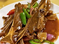 -亲子百果农庄
