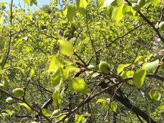 -碓臼峪自然风景区