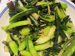 清炒菜苔-壹盏灯(惠农店)