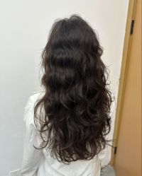 -YESIDO椰岛造型