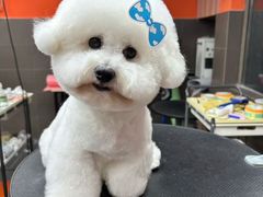 -宠宠熊宠物美容(星湖街店)