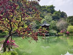-云溪植物园