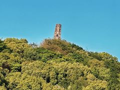 -上海佘山国家森林公园天马山园