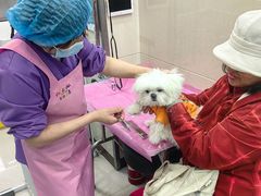 -北京观赏动物医院·24小时大型综合·猫专科·异宠专科