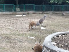 -西安秦岭野生动物园