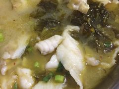-文记四川鱼馆(小纬北路店)