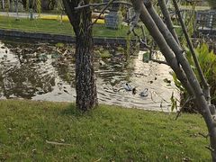 -宁波九龙湖开元度假村