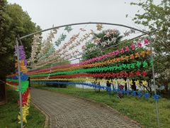 -上膳源有机农场