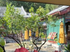 -宫事颐庭·老佛爷贵寿下午茶(颐和园店)