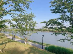 -羊山湖公园