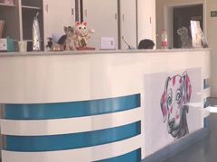 -美联众合动物医院·内科·皮肤科·外科(古城分院)