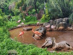 -昆明动物园