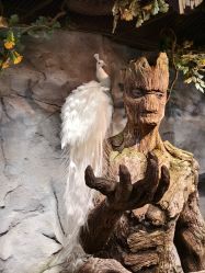 -Zoolung Zoolung动物主题公园(海信广场店)