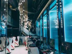 -绿树电竞(五路店)