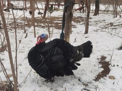 -淇河国家湿地公园