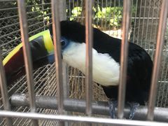 -南宫五洲植物乐园