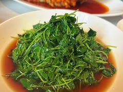 酒香豆苗-玫瑰厅上海菜(兴国路店)