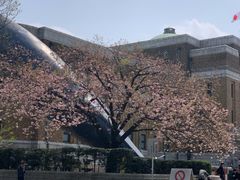 -东京国立博物馆