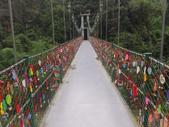 -西双版纳原始森林公园