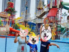 -武汉玛雅海滩水公园