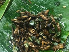 -席娜卡琳火车铁道夜市