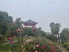 -南京银杏湖乐园