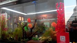 android_upload_pic-小左美发