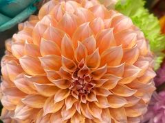 -中央戏剧学院(东城校区)