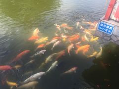 -珠海圆明新园
